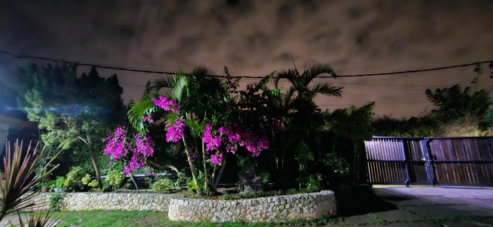 Villa Anjing Nusa Dua  Exterior foto