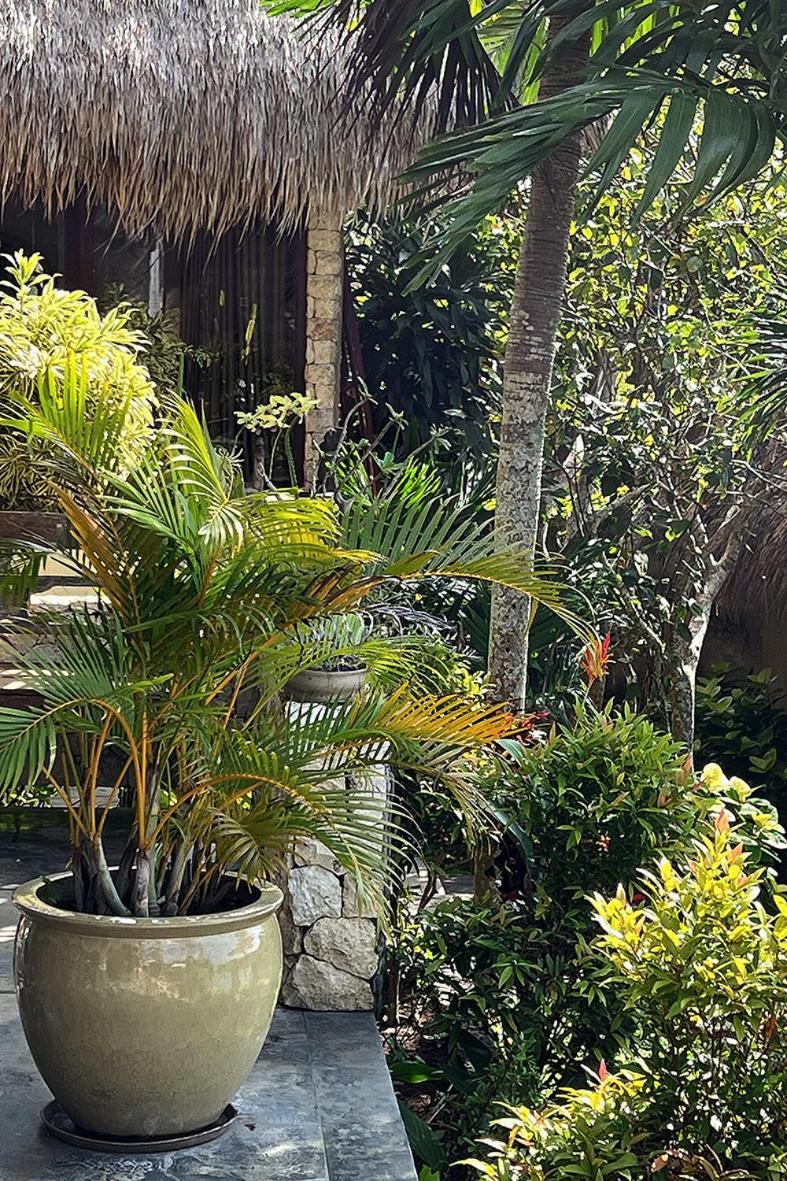 Villa Anjing Nusa Dua  Exterior foto